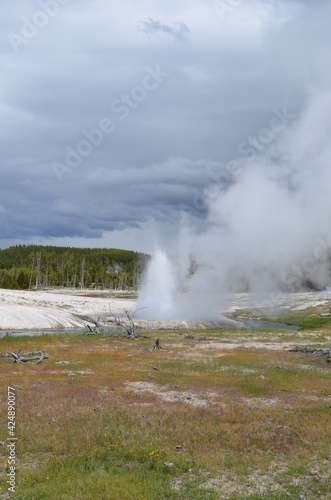 Late Spring in Yellowstone National Park: Cliff Geyser of the Emerald Group in the Black Sand Basin Area of Upper Geyser Basin Erupts along Iron Spring Creek