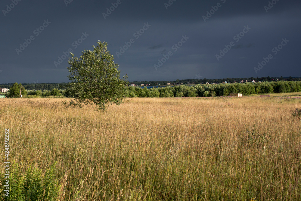 Landscape with dramatic sky and unripe wheat field at rainy summer season. Dirt road with dark storm clouds
