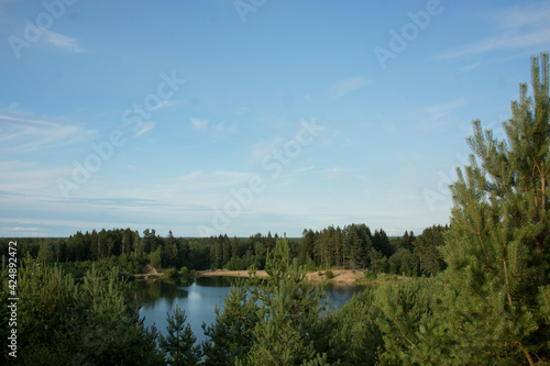 Summer landscape with a beautiful wild lake with clear water, cloudy sky and green fir forest.