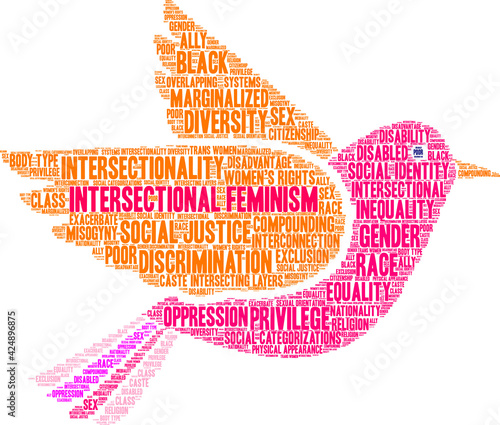 Intersectional Feminism Word Cloud on a white background.