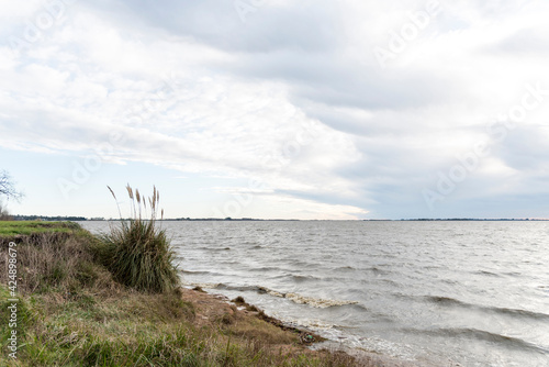 Lakeside of Chascomus  a quiet town in the province of Buenos Aires  Argentina