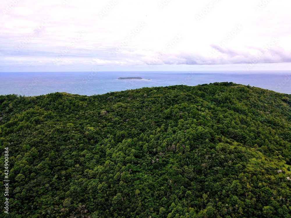 Obraz premium default