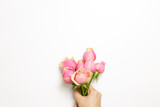Hand of holding pink rose flowers on white background. flat lay, top view, copy space