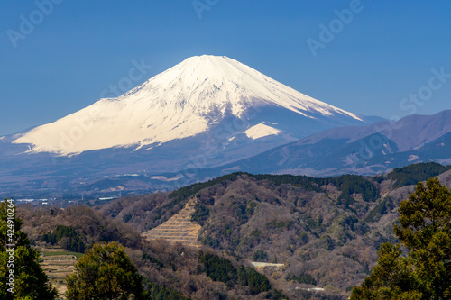 雪をかぶった春の富士山（神奈川県からの景色）