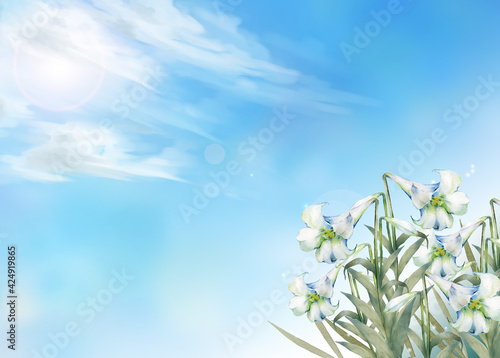 ユリの花と青空の風景
