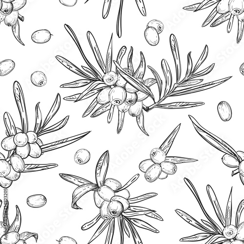 Hand drawn seamless pattern black and white of sea buckthorn, plant, leaf. Vector illustration. Elements in graphic style label, sticker, menu, package