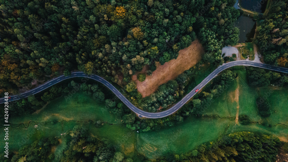 Luftaufnahme eines roten Autos das auf einer kurvigen Landstraße durch einen Wald fährt