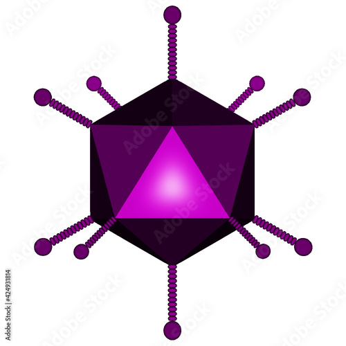 Purple Adenovirus