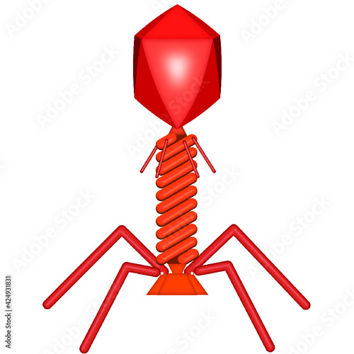 Red Animated Bacteriophage