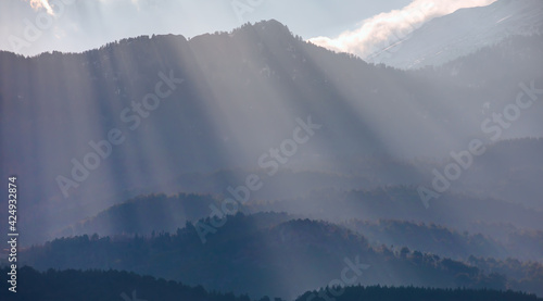 Sunlight Beams on the Mountain - Pine forest in morning mist