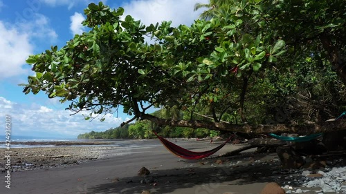 hammock on a coconut tree paradise beach with palm trees punta banco Costa Rica aerial photo