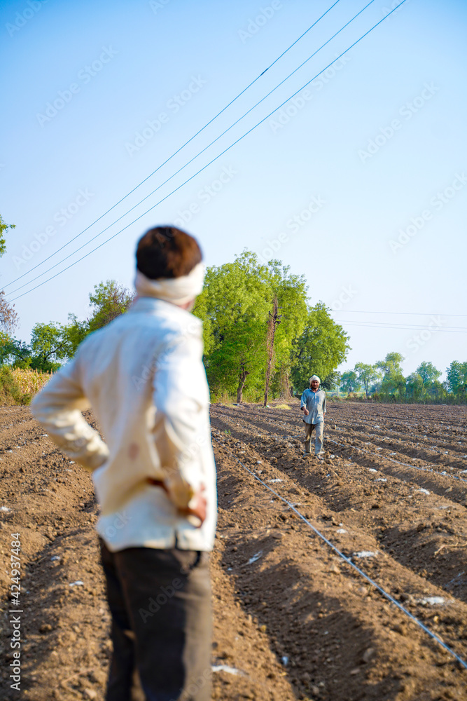 Fototapeta premium Indian farmer or labour Drip irrigation pipe assemble in agriculture field. rural scene.