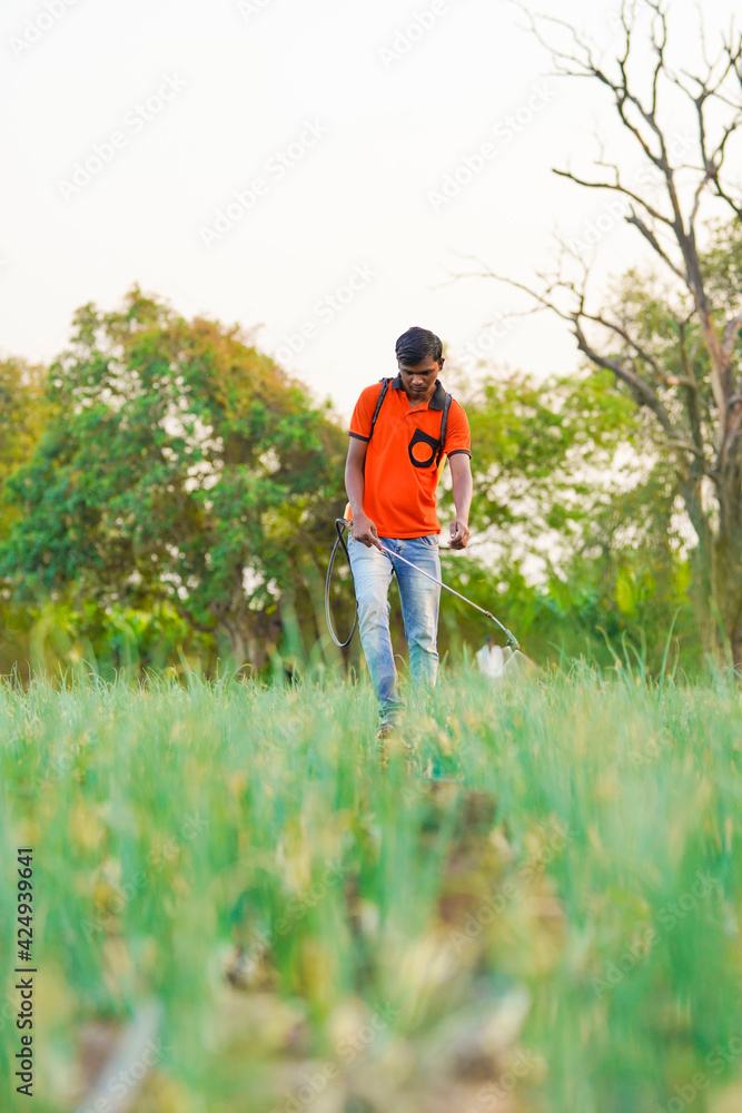 Indian farmer spraying pesticides in green onion field Indian farmer spraying pesticides in green onion field