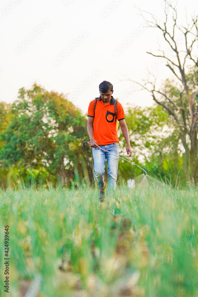 Indian farmer spraying pesticides in green onion field Indian farmer spraying pesticides in green onion field