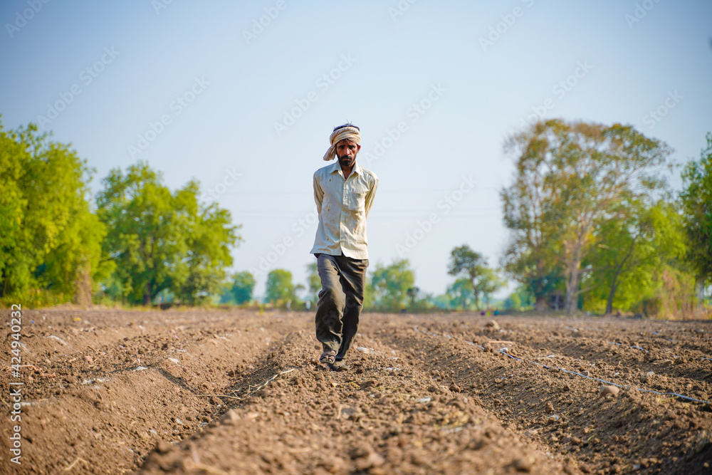 Indian farmer or labour Drip irrigation pipe assemble in agriculture field. rural scene.