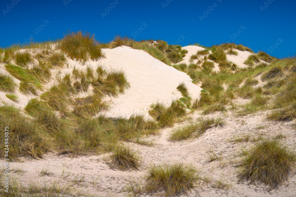 Sand dunes on a hiking trail near Cala Mesquida beach on Mallorca island in Mediterranean Sea