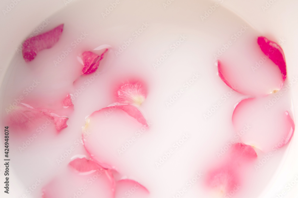 Pink rose petals in moisturiser hydro milk water. Wellness Healthcare natural relaxing spa for healthy skin concept Pink rose petals in moisturiser hydro milk water. Wellness Healthcare natural relaxing spa for healthy skin concept