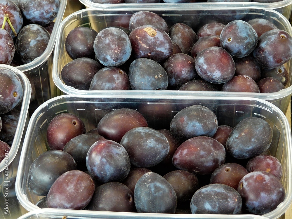 Obraz premium Blaue Pflaumen / Zwetschgen in Schalen