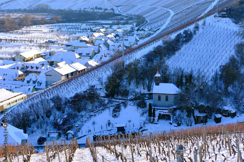 Weinort Escherndorf inmitten der Weinberge an der Volkacher Mainschleife im Winter, Unterfanken, Bayern, Deutschland © dina