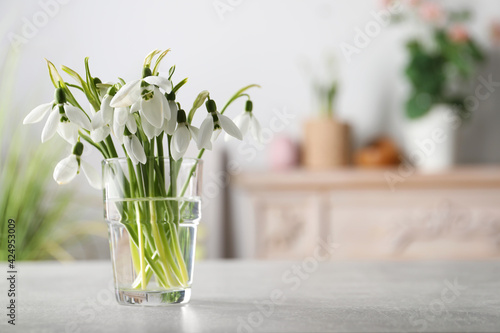 Beautiful snowdrop flowers in glass on light grey table. Space for text