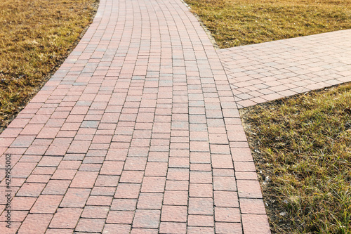 Cobbled walkway in the middle of the lawn.