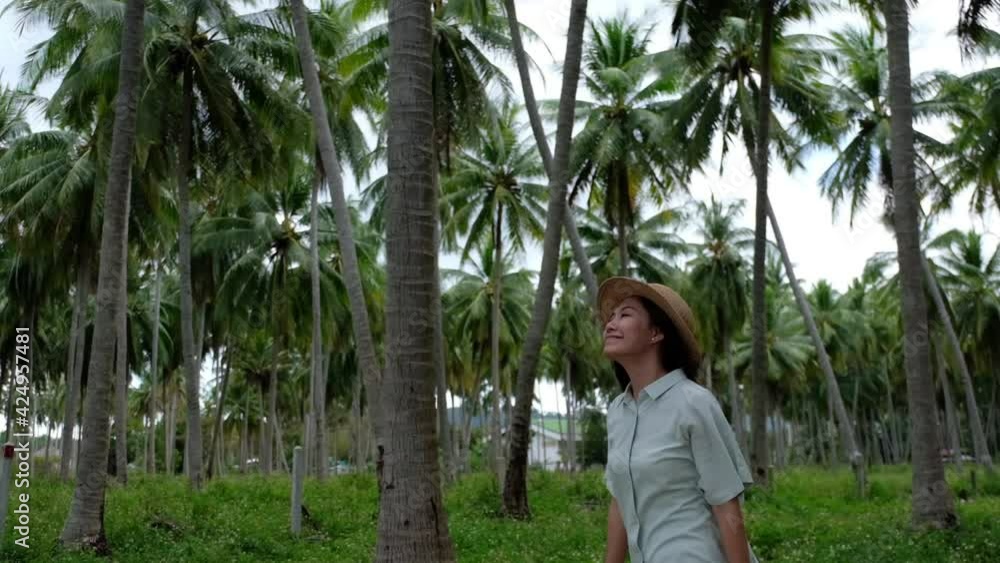 Slow motion of a young woman with hat walking and looking at coconut trees in the garden Slow motion of a young woman with hat walking and looking at coconut trees in the garden