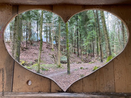 Nature in the heart - a view through the window of a small wooden forest hut at the foot of the Freyenweijer pond and along the Krebsbach stream, Samstagern - Switzerland (Schweiz) photo