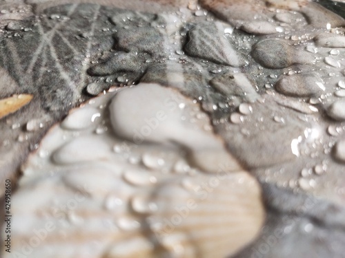 water drops on a leaf