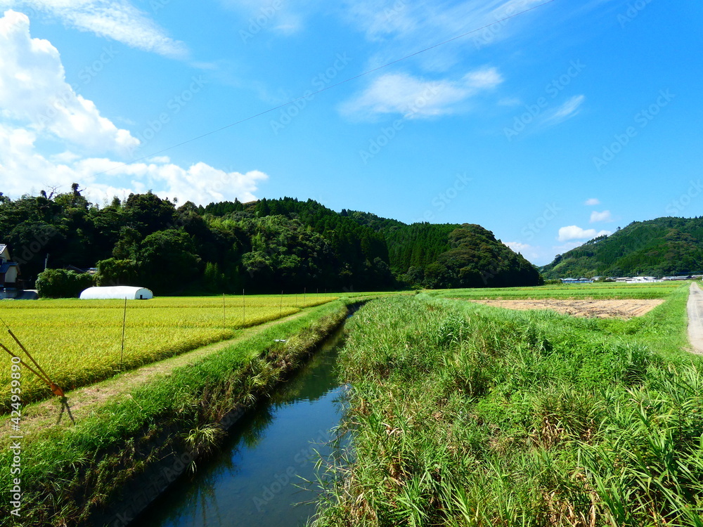 Obraz premium 田園