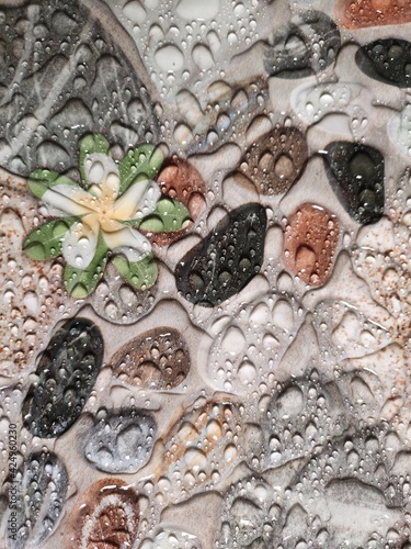 heart shaped stones