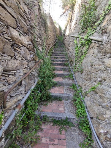 medieval alley of Sant Ilario Genoa Italy photo