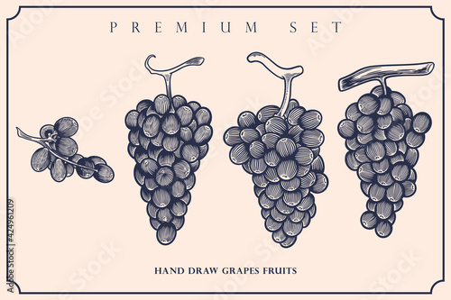 Engraved illustration of grapes vintage set