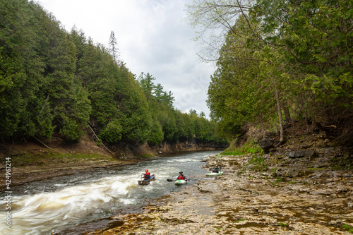 A rapid flowing river in the forest