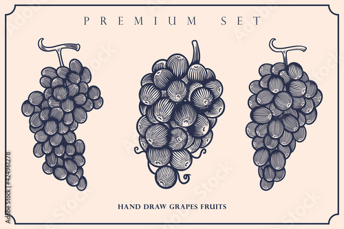 Engraved illustration of grapes vintage set