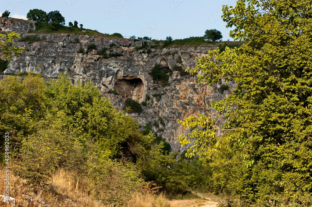 Panorama from the area of ​​Rusenski Lom Nature Park with high vertical limestone cliffs, overgrown with deciduous trees, Nisovo, Bulgaria  
