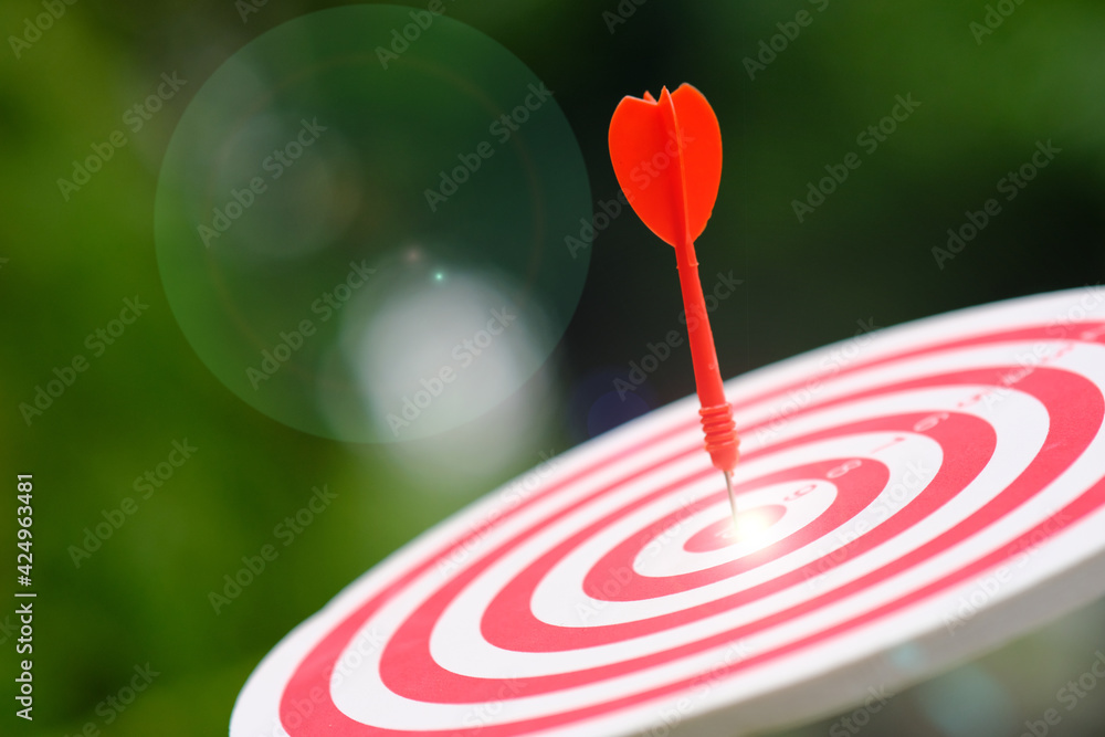 red dart on target red dart on target