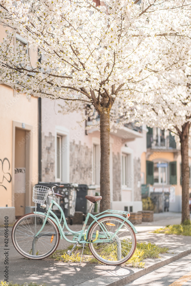 bicycle on the street