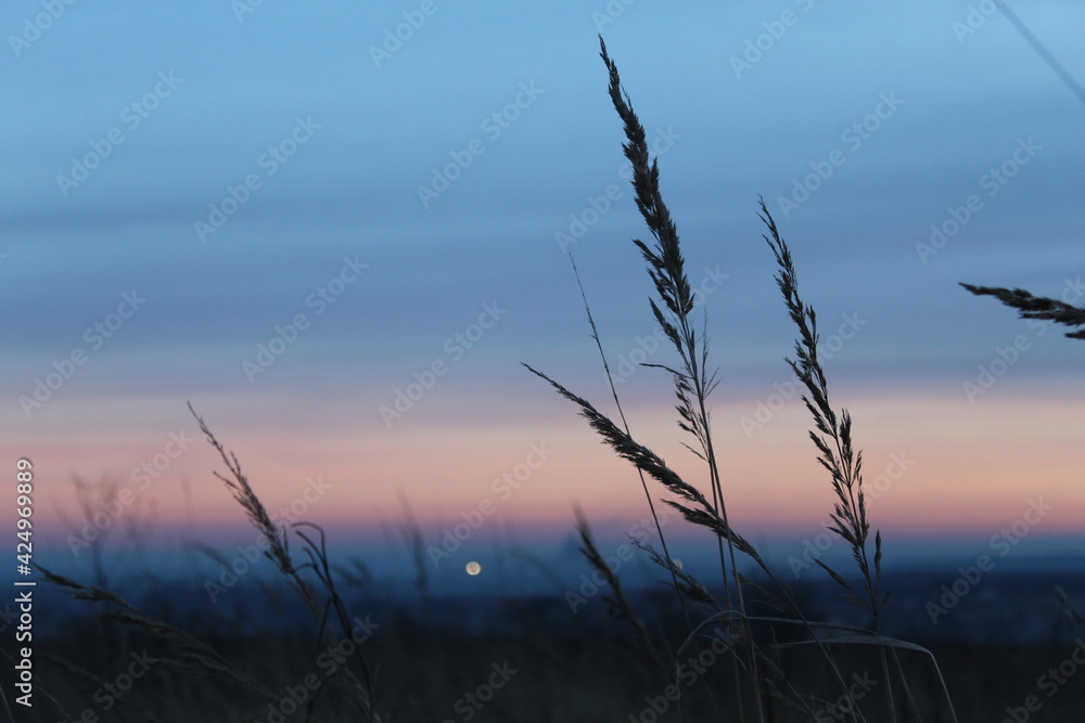 Obraz premium sunset
