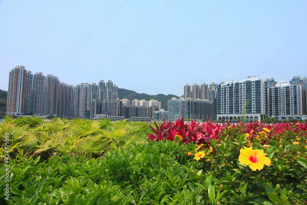 Skyline of Tseung Kwan O New Town in Hong Kong Skyline of Tseung Kwan O New Town in Hong Kong