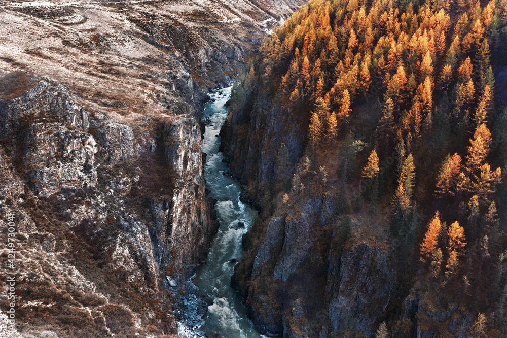 Cliff mountain valley, blue river, orange and green autumn forest. Aerial view
