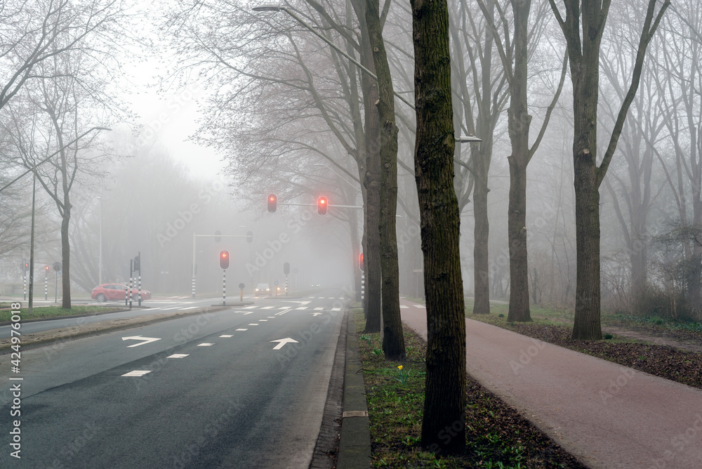 View of the city road in the fog.