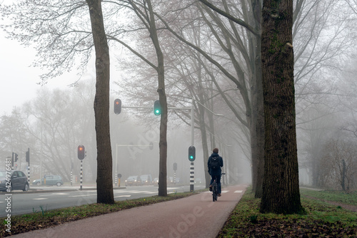 View of the city road in the fog. © Iaroslava Zolotko