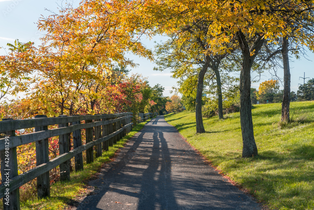 Naklejka premium Asphalt hiking pathway with a wooden fence