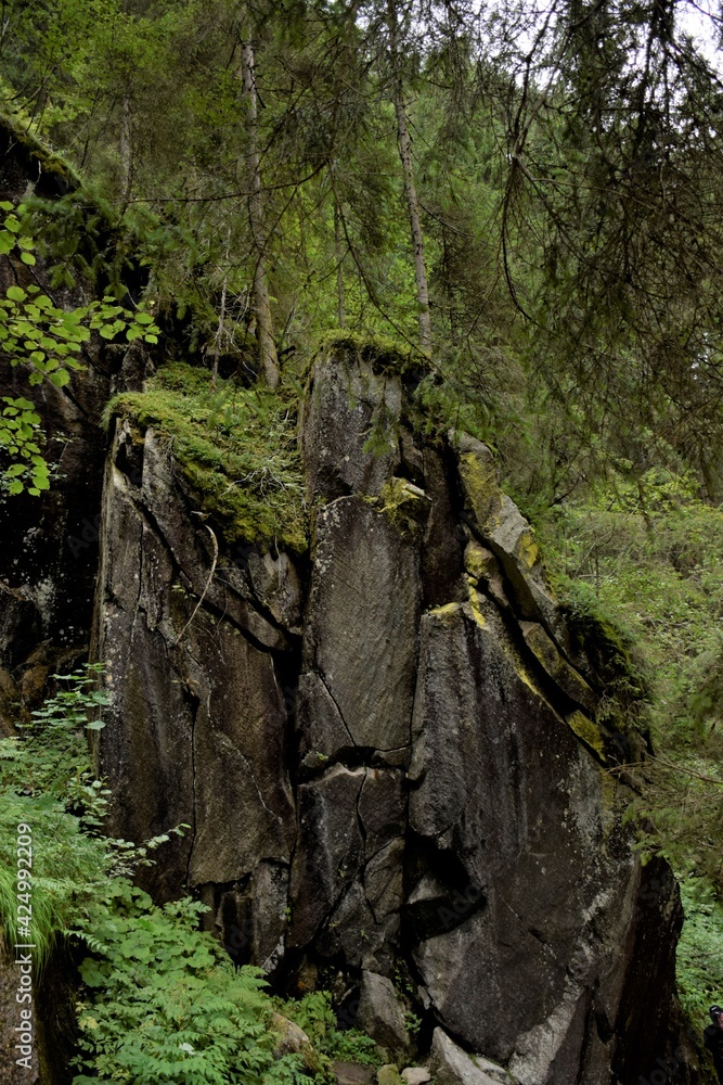 moss-covered rocks deep in the wet forests of the alps
