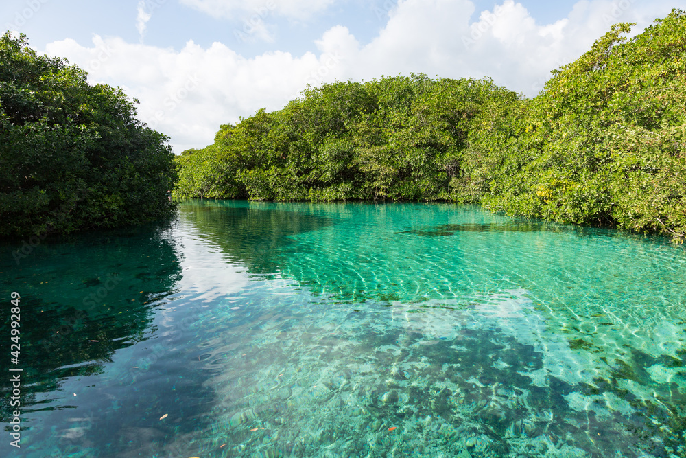 Casa cenote is one of the beautiful cenotes in the Riviera Maya north of Tulum, Quintana Roo, Yucatan peninsula, Mexico