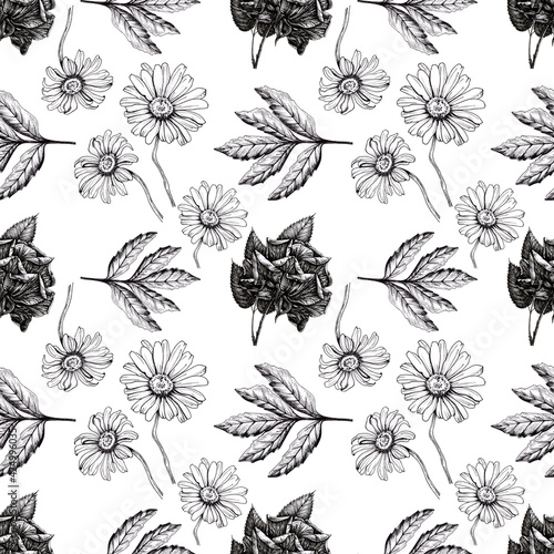 Seamless pattern, chamomile, roses, leaves. Texture black and white for wrapping paper, textiles. Hand-drawn drawing by pen and liner on white background