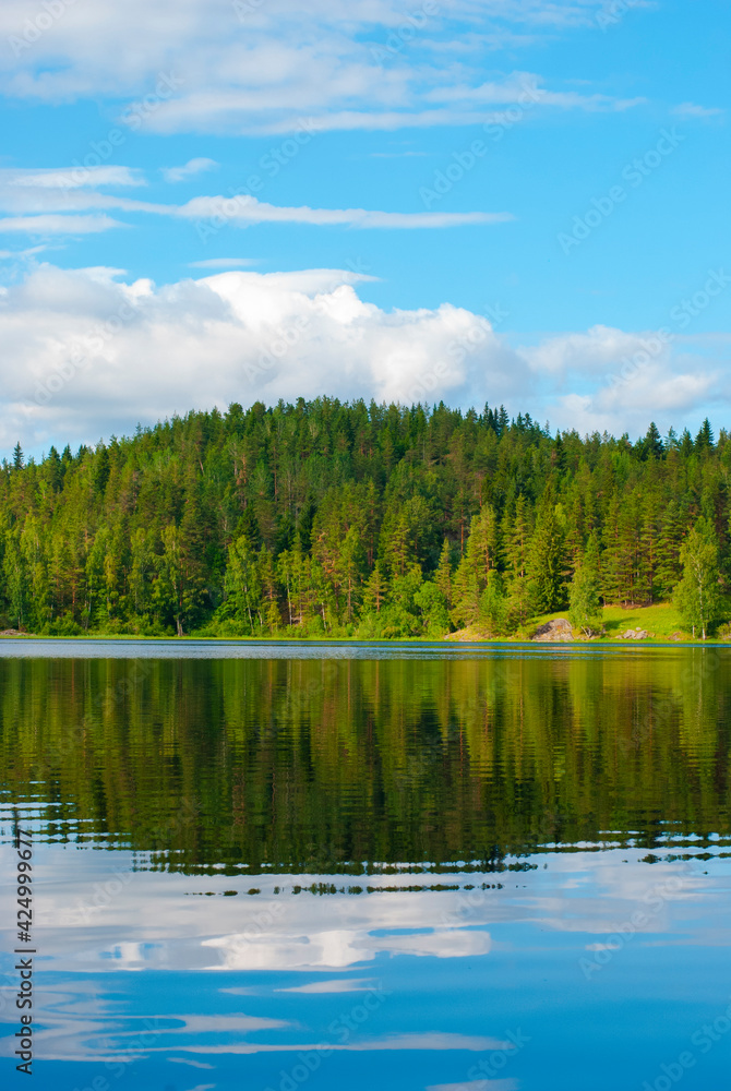 Forest reflection in the water, Karelia, Russia