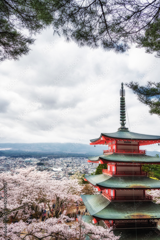 満開の桜と仏塔のある風景
