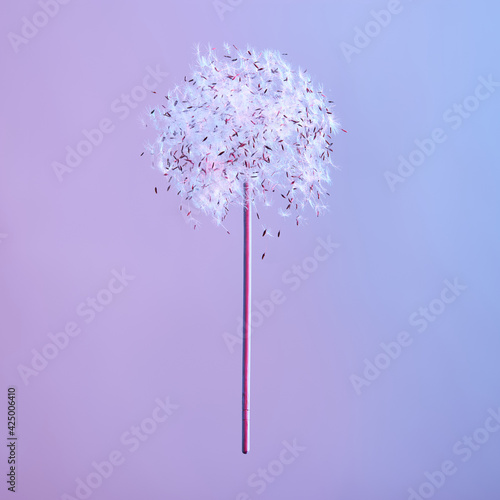 Dandelion lollipop on blue background