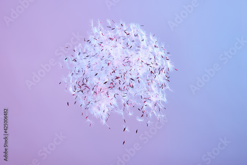 Isolated cloud of dandelion seeds in the air on light neon background